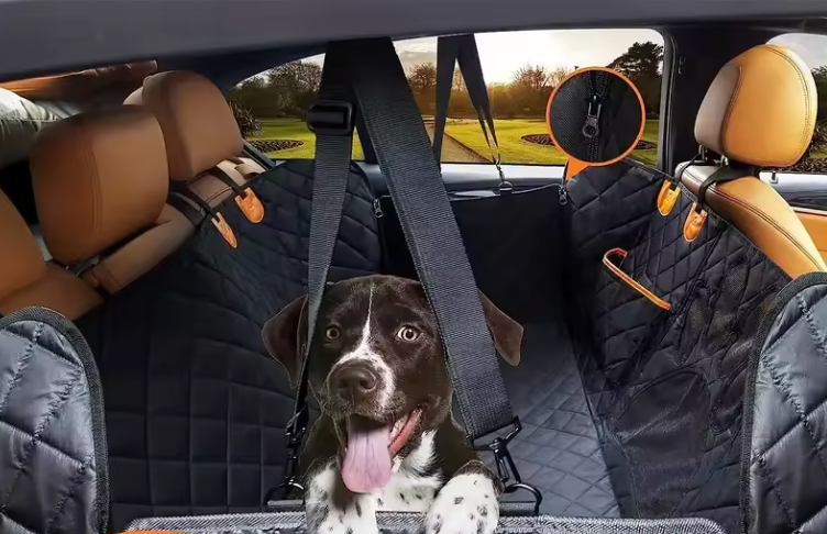 Tapis de voiture