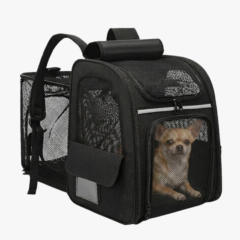 Sac à Dos Chien Convertible
