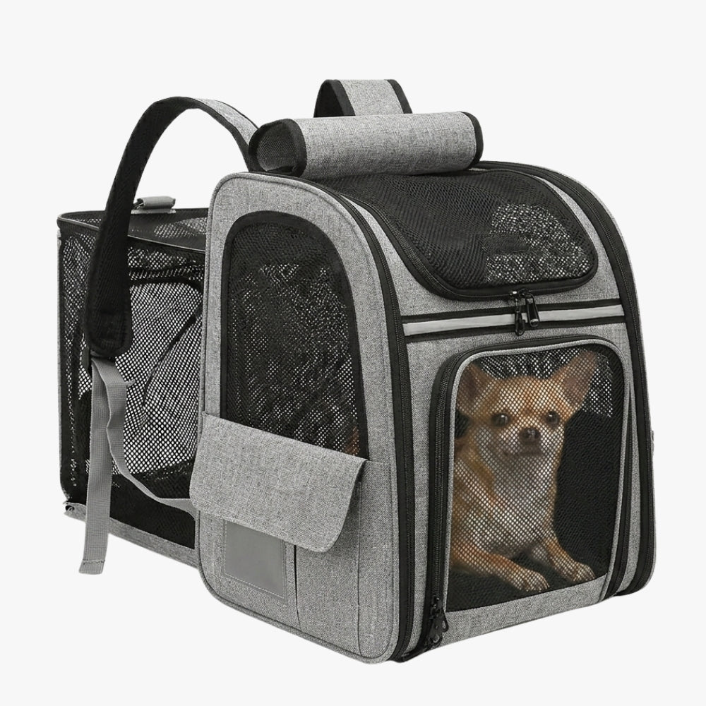 Sac à Dos Chien Convertible